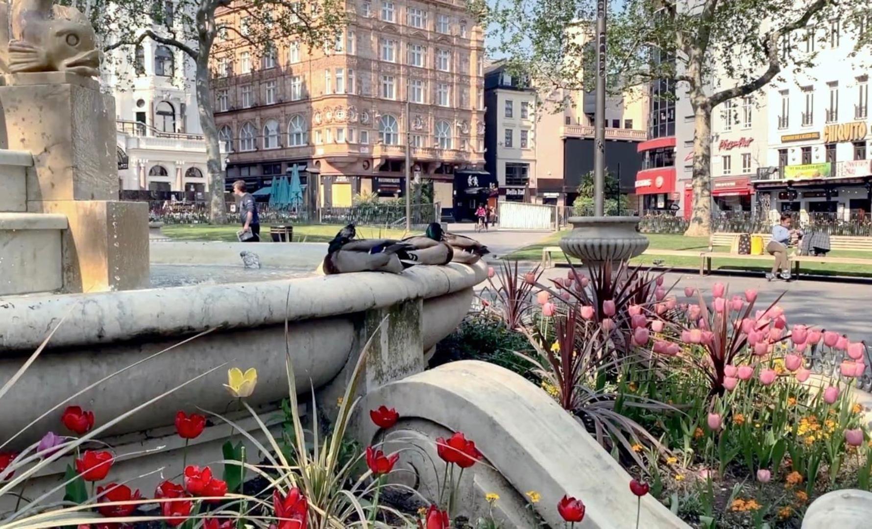 Fantastic 1 Bedroom Flat Leicester Square West End Лондон Экстерьер фото